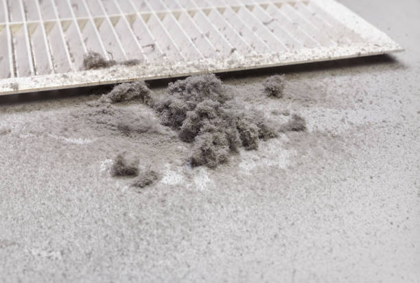 Best Air Duct Cleaning Near Me  in Farmers Loop, AK