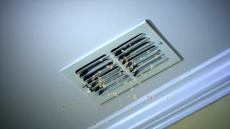 Best HVAC Maintenance and Cleaning  in Farmers Loop, AK