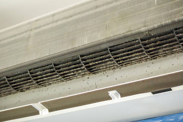 Best Ventilation Cleaning Services  in Farmers Loop, AK
